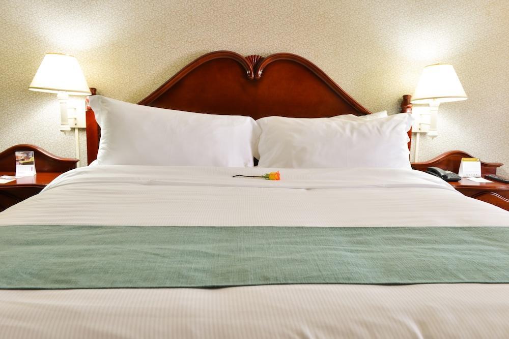 Hotel Plaza Del Libertador 特古西加尔巴 外观 照片