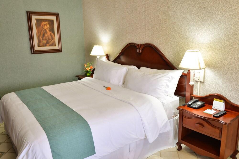 Hotel Plaza Del Libertador 特古西加尔巴 外观 照片