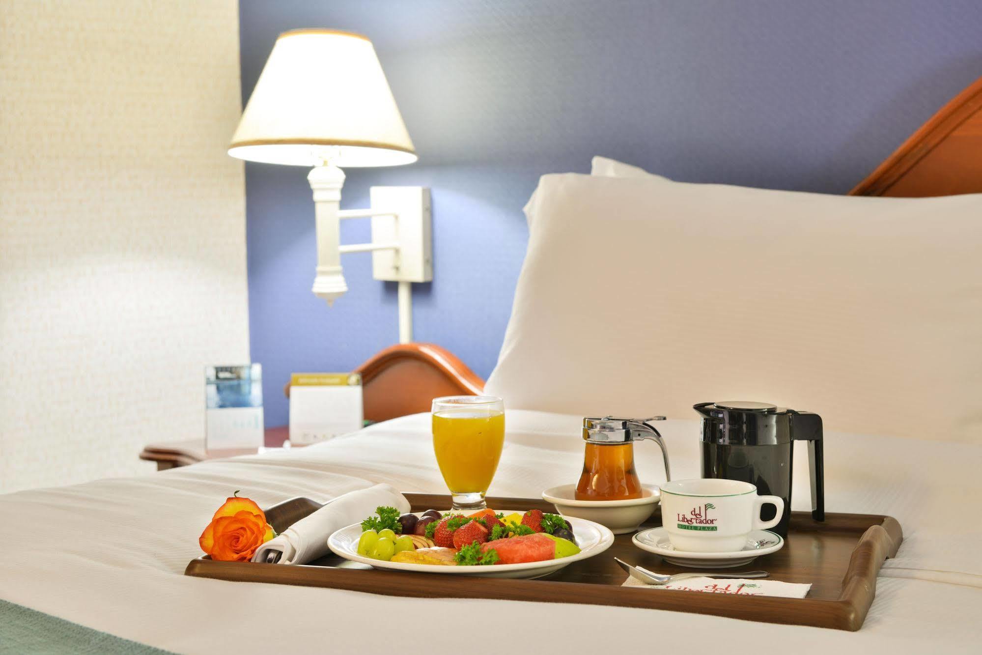 Hotel Plaza Del Libertador 特古西加尔巴 外观 照片